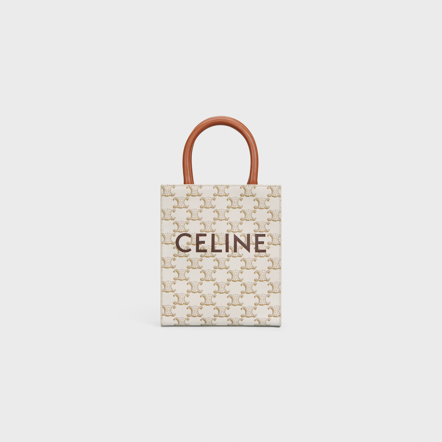 CELINE Mini Vertical Cabas in Triomphe Canvas and calfskin with Celine print 194372BZK.01BC