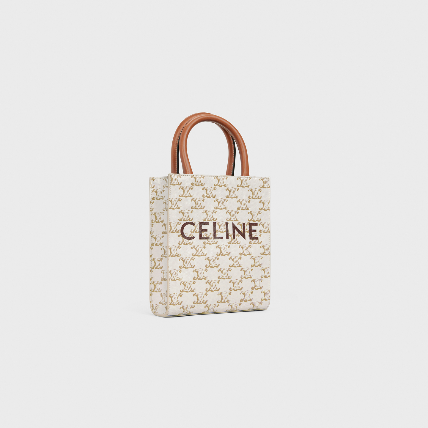 CELINE Mini Vertical Cabas in Triomphe Canvas and calfskin with Celine print 194372BZK.01BC