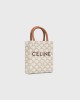 CELINE Mini Vertical Cabas in Triomphe Canvas and calfskin with Celine print 194372BZK.01BC