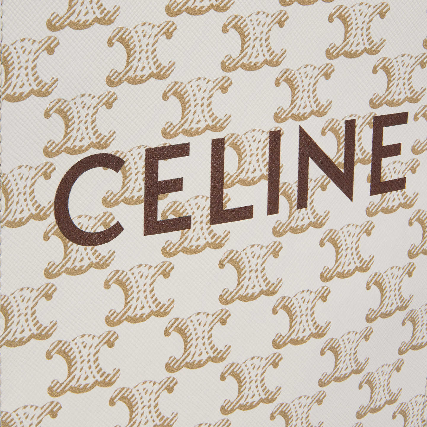 CELINE Mini Vertical Cabas in Triomphe Canvas and calfskin with Celine print 194372BZK.01BC