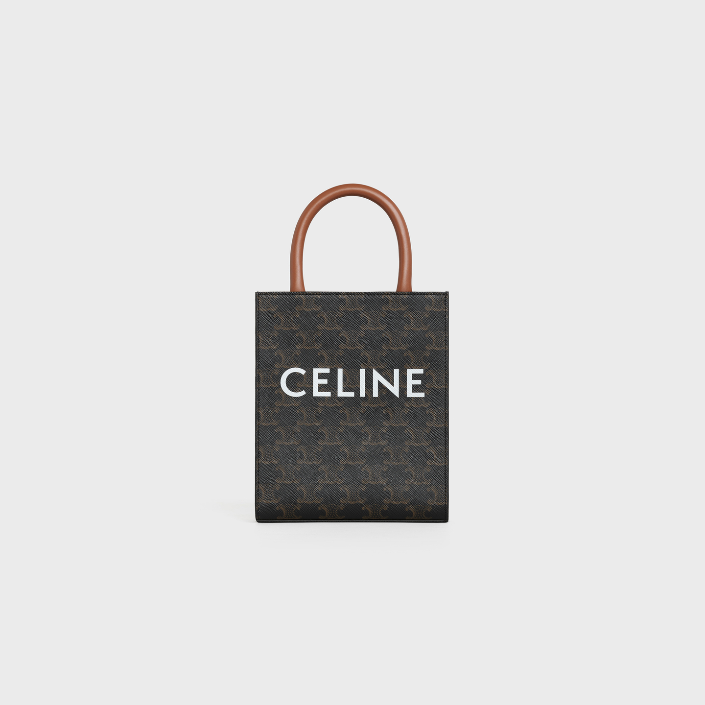 CELINE Mini Vertical Cabas in Triomphe Canvas and calfskin with Celine print 194372BZK.04LU