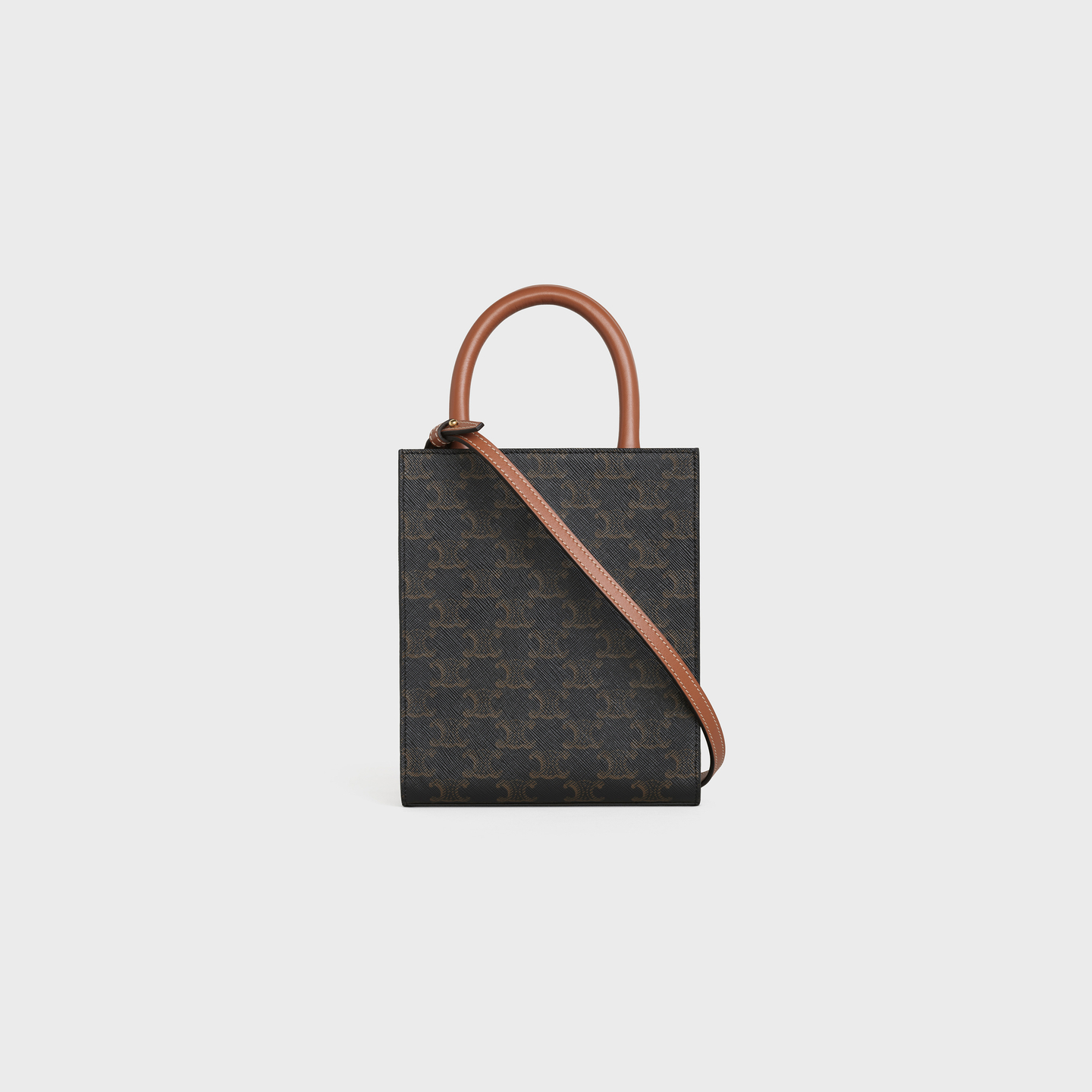 CELINE Mini Vertical Cabas in Triomphe Canvas and calfskin with Celine print 194372BZK.04LU