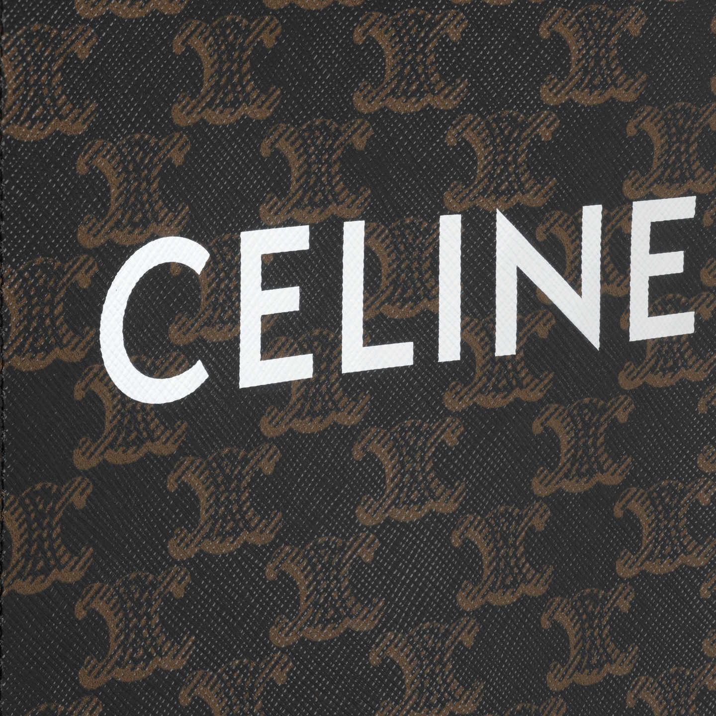 CELINE Mini Vertical Cabas in Triomphe Canvas and calfskin with Celine print 194372BZK.04LU