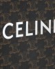 CELINE Mini Vertical Cabas in Triomphe Canvas and calfskin with Celine print 194372BZK.04LU