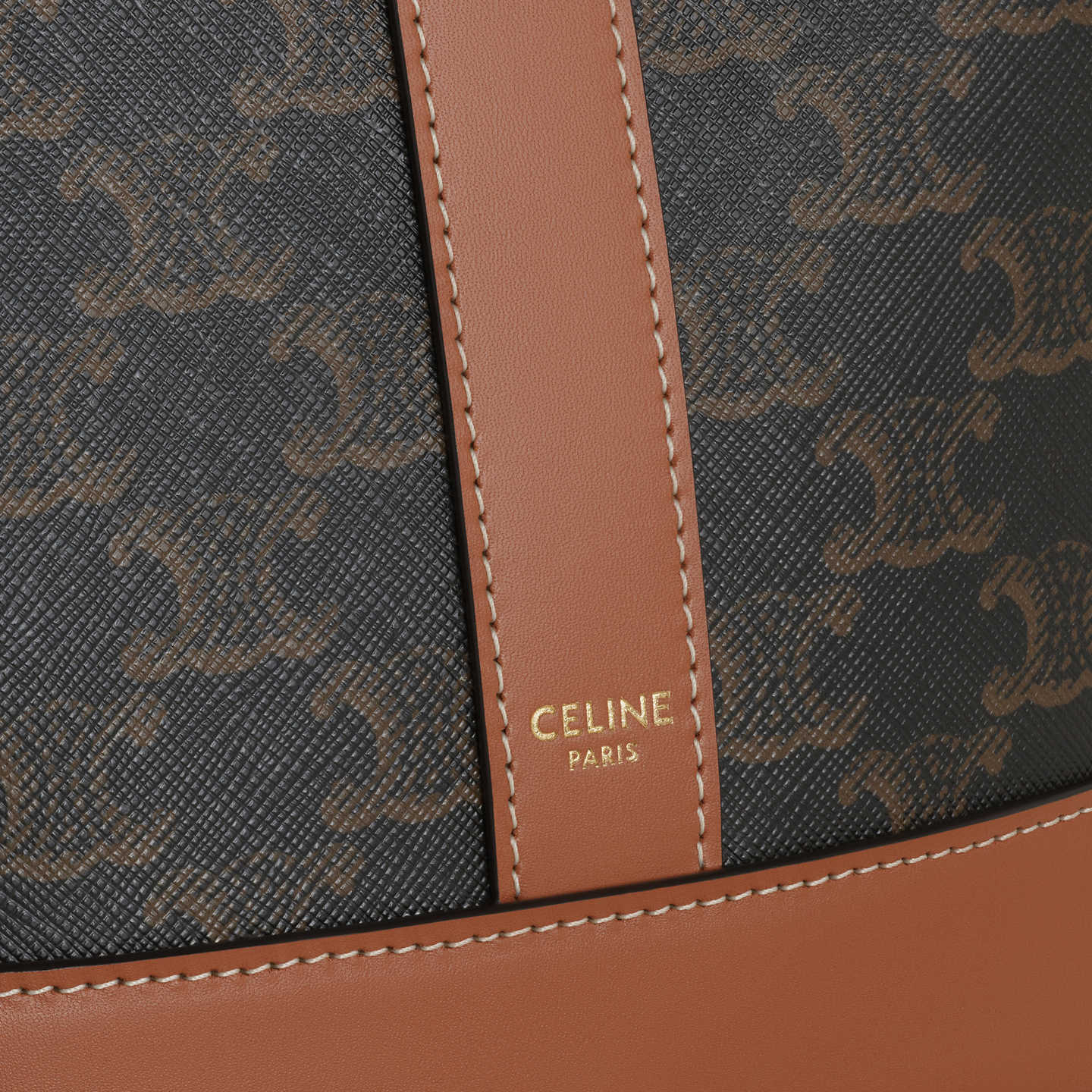 CELINE Small Bucket in Triomphe Canvas and calfskin 191442CAS.04LU