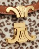 CELINE BESACE CLEA in PONY CALFSKIN WITH LEOPARD PRINT 110963FL2.19LE