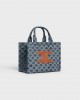 CELINE small cabas thais in DENIM WITH TRIOMPHE ALLOVER and calfskin 199162FRG.05DS