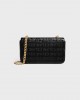 CELINE CHAIN SHOULDER BAG CLAUDE in SEQUINS WITH CELINE ALLOVER 115202FKB.38NO