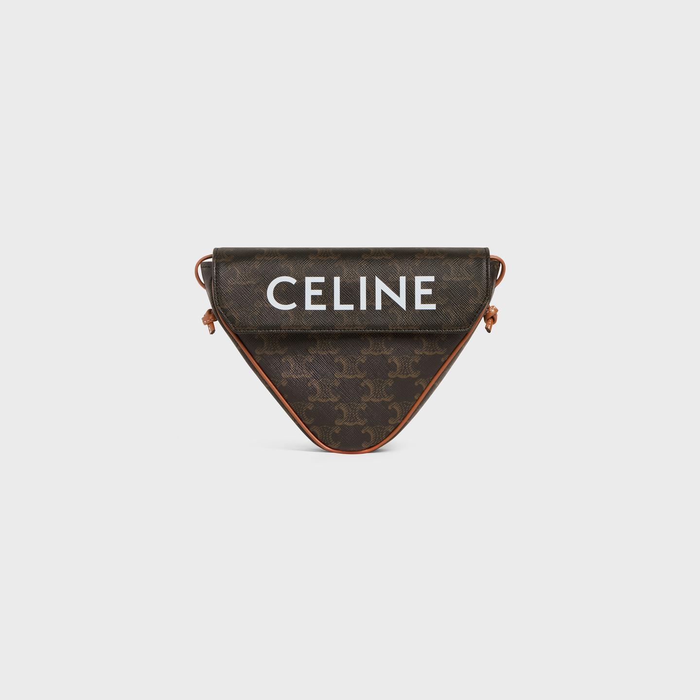 CELINE triangle bag in Triomphe Canvas with Celine print 195902BZK.04LI