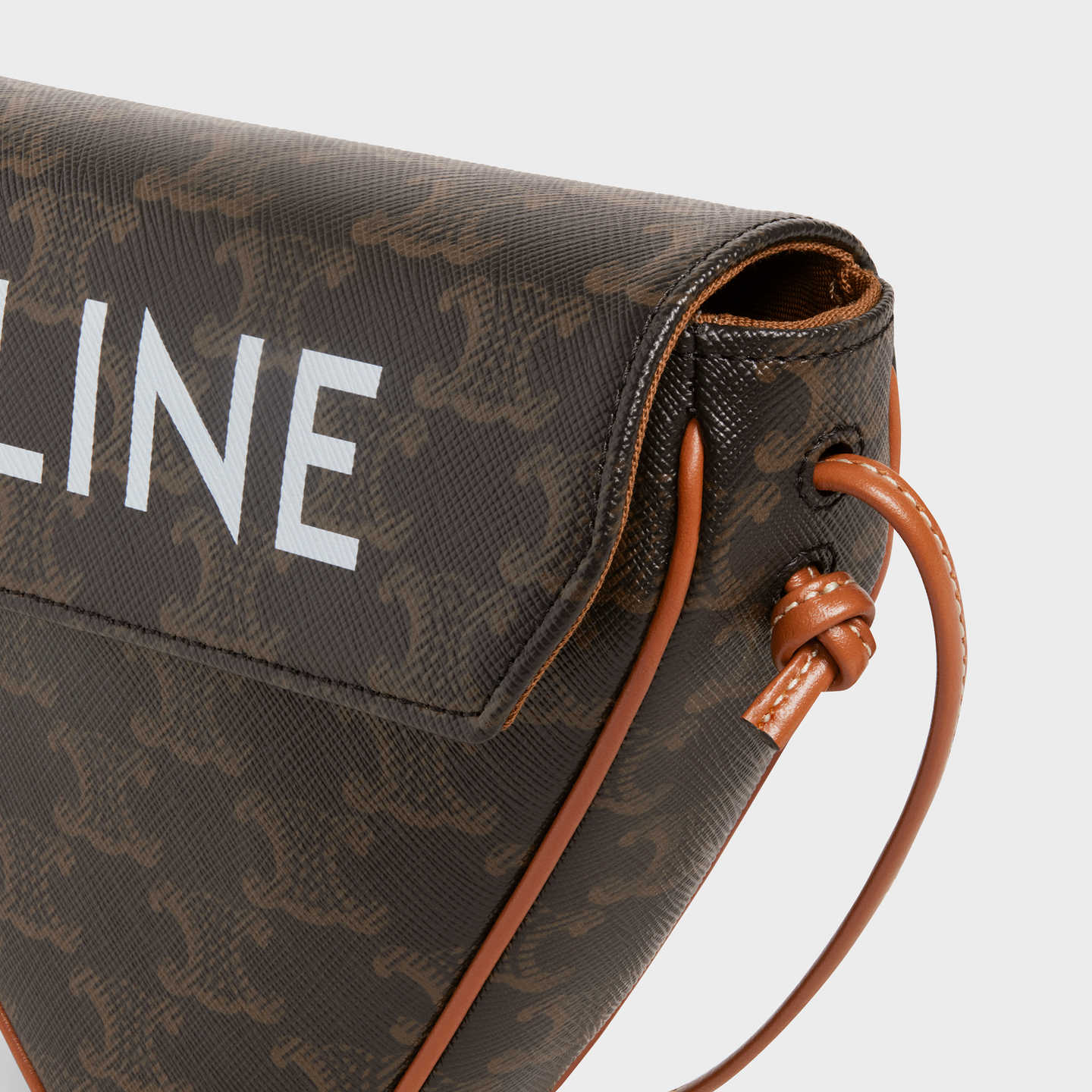 CELINE triangle bag in Triomphe Canvas with Celine print 195902BZK.04LI