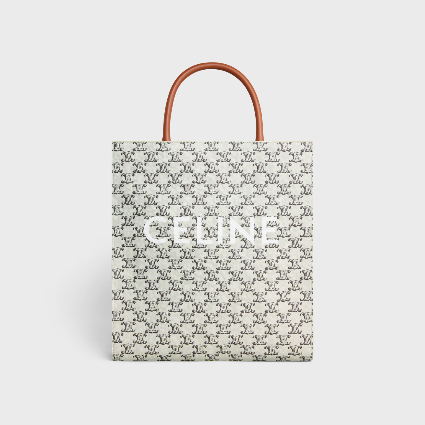 CELINE Medium Vertical Cabas in Triomphe Canvas with Celine print 194432BZK.04LE