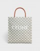 CELINE Medium Vertical Cabas in Triomphe Canvas with Celine print 194432BZK.04LE