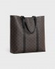 CELINE CABAS WITH BUCKLE in TRIOMPHE CANVAS AND CALFSKIN 113742FFZ.38SI