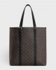 CELINE CABAS WITH BUCKLE in TRIOMPHE CANVAS AND CALFSKIN 113742FFZ.38SI