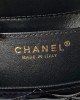 CHANEL 24A Bag AS4956 13x18x8cm