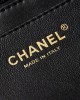 CHANEL 24S Camellia CF AS1112 15.5x25.5x6.5cm