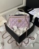 CHANEL Rhinestone Handle Cosmetic Bag AP3799 17cm