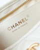 CHANEL High-end Hobo Bag AS4922 Small Size