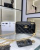 CHANEL 23P Box Bag Camellia Buckle AP3301