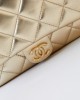 CHANEL 24c Metallic Silver Sheepskin Backpack Bag AS4621 19x20x5.5cm