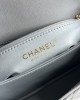 CHANEL Platinum Edition Small Ball-Grain Cowhide Bag