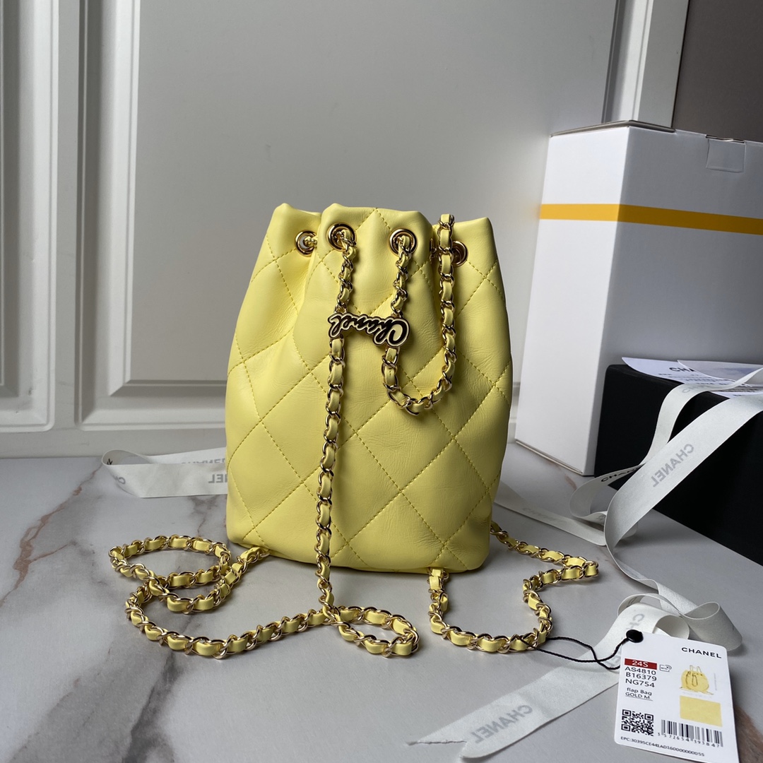 CHANEL 24S Colorful Gold Ball Model Bucket Bag AS4810 22x17x7.5cm