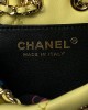 CHANEL 24S Colorful Gold Ball Model Bucket Bag AS4810 22x17x7.5cm