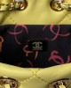 CHANEL 24S Colorful Gold Ball Model Bucket Bag AS4810 22x17x7.5cm