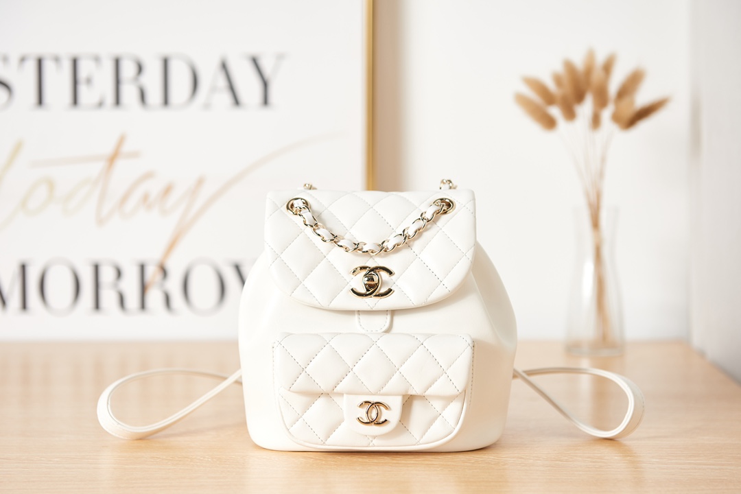 CHANEL 22K DUMA Small Backpack Bag AS2908 18x18x12cm