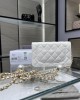 CHANEL 24S Pearl Glutinous Rice Balls WOC Bag AP3964