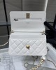 CHANEL 24S Pearl Glutinous Rice Balls WOC Bag AP3964