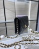 CHANEL 24S Pearl Glutinous Rice Balls WOC Bag AP3964