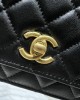 CHANEL 24S Pearl Glutinous Rice Balls WOC Bag AP3964