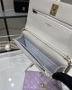 CHANEL 24S Pearl Glutinous Rice Balls WOC Bag AP3964