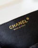 CHANEL Mini 22 Goose Bag AS3980, 19x20x6cm