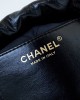 CHANEL Mini 22 Goose Bag AS3980, 19x20x6cm