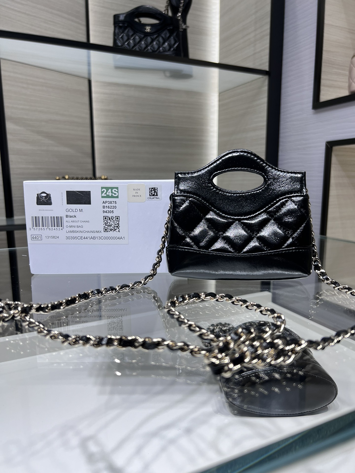 CHANEL 24s Mini 31 Nano Bag AP3875