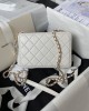 CHANEL 24s Camera Bag AS4817 11.5x16x6cm