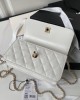 CHANEL 24p WOC Pearl Handle Bag AP3803 19cm