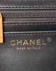 CHANEL 24P Pearl Chain Mini Bag AS4384 14.5x19.5x7.5cm