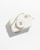 CHANEL Camera BagRef. AS4817 B16255 10601