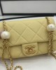 CHANEL Small Flap BagRef. AS4861 B16573 NW779