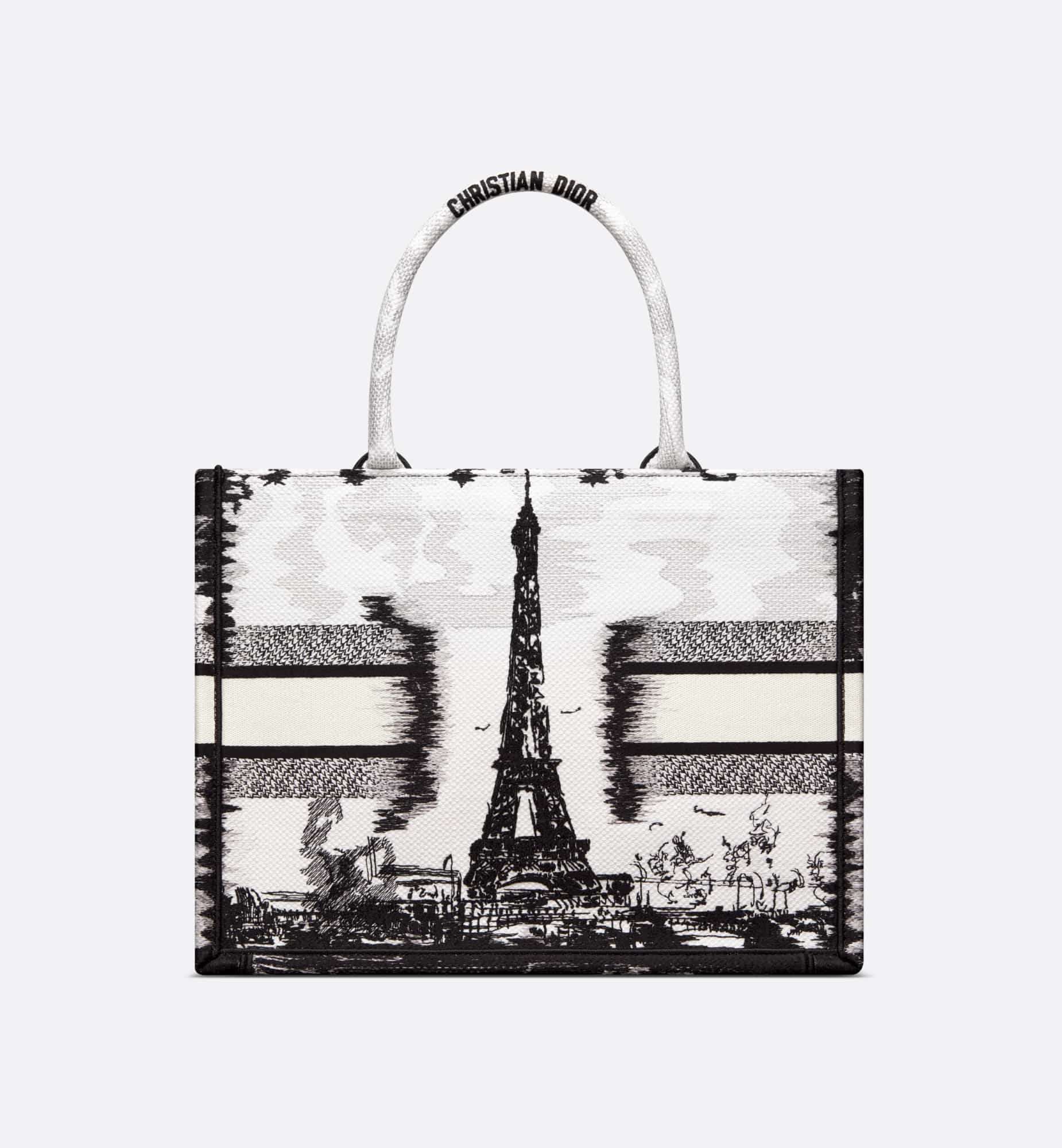 DIOR Medium Dior Book Tote M1296ZEGG_M933