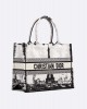 DIOR Medium Dior Book Tote M1296ZEGG_M933