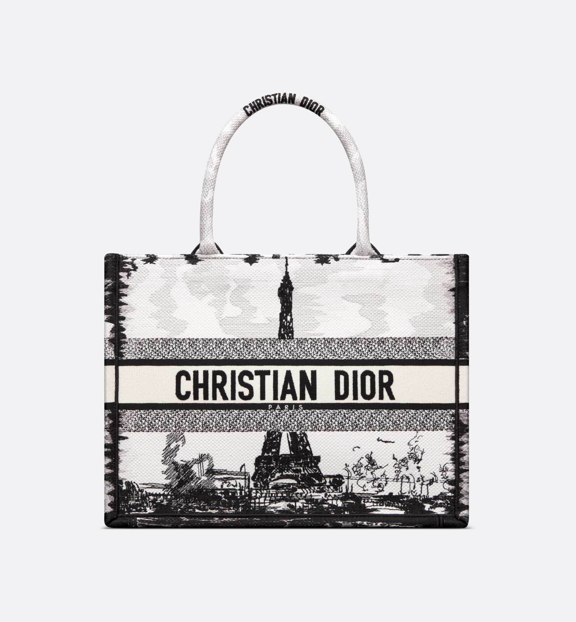 DIOR Medium Dior Book Tote M1296ZEGG_M933