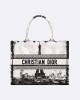 DIOR Medium Dior Book Tote M1296ZEGG_M933