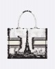 DIOR Medium Dior Book Tote M1296ZEGG_M933