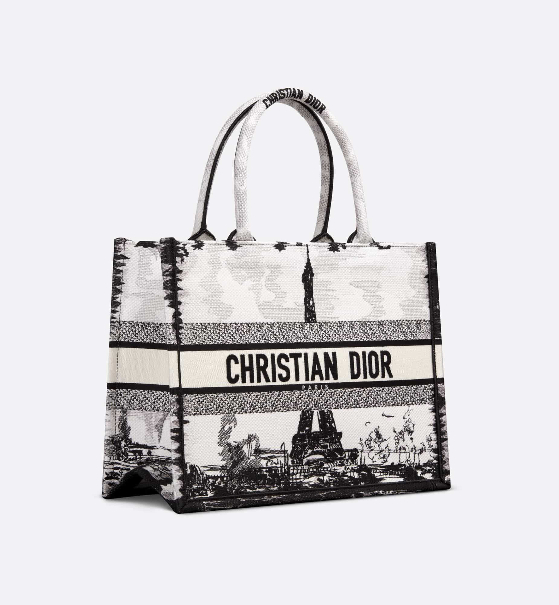 DIOR Medium Dior Book Tote M1296ZEGG_M933