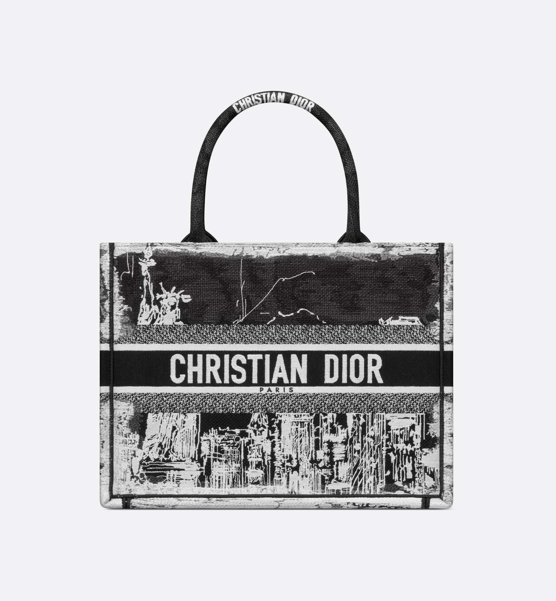 DIOR Medium Dior Book Tote M1296ZEGG_M933