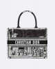 DIOR Medium Dior Book Tote M1296ZEGG_M933